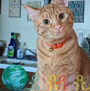 Meet your Posher, Mary jo